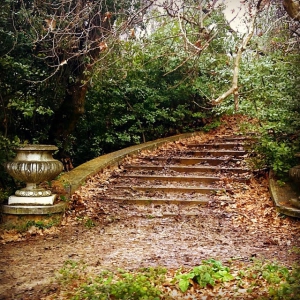 Exploring Parnitha &amp; The Tatoi Estate