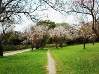 My Week in Athens… March 22