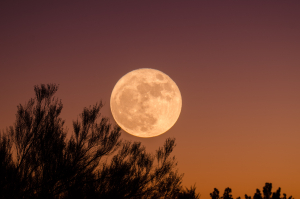August Full Moon At The Acropolis Museum