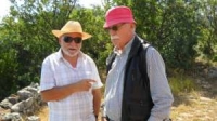 A European Microcosm In A Peloponnesian Village