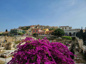 Relocate To Athens: How to Choose the Right Neighborhood For Your New Home