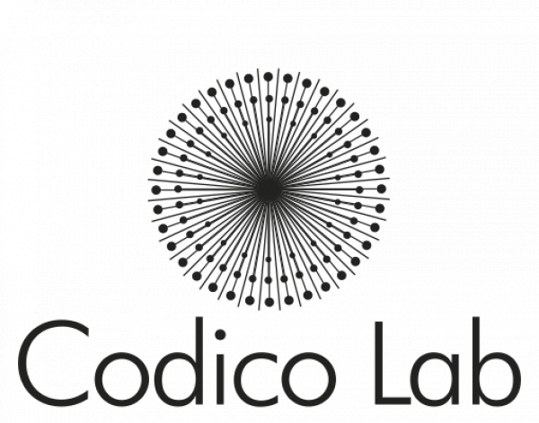Codico Lab - A Small Business Agency