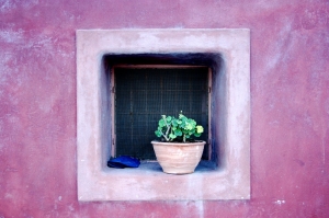 March 13th - Loving Spring In Athens