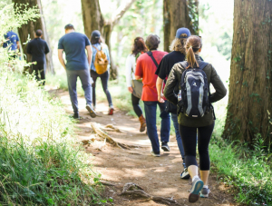 XpatAthens Hikes &amp; Walks