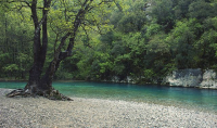 Rivers In Greece That Offer An Incredible Swimming Experience