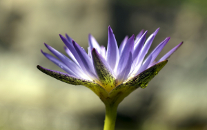 Wellness Retreats Greece Powers Wellness On XpatAthens!