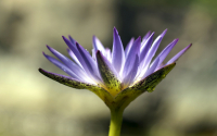 Wellness Retreats Greece Powers Wellness On XpatAthens!