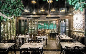 Urban Gastronomy In Athens