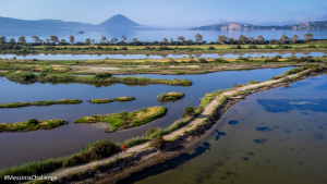 Messinia Challenge 2026: The First Sustainable Running Races In Greece