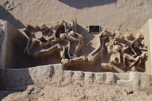 Archaeologists Study Skeletons From Ancient Cemetery At Phaleron