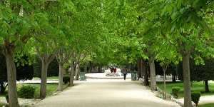 Enjoying Nature Around Athens