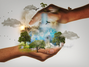 Small Ways We Can Protect The Environment