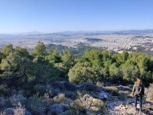 One Day Wellness Escape With Nefeli Nine Retreats