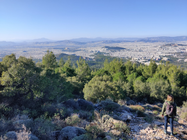 One Day Wellness Escape With Nefeli Nine Retreats