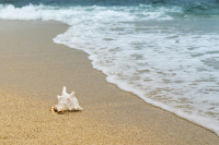 First Smoke-Free Beach In Attica Is Underway