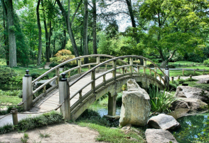 Great Parks To Explore In The City