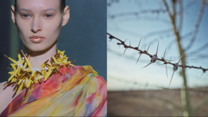 Cinedoc Announces Its Special Screening Program For March &amp; April