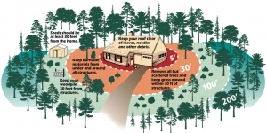 How To Prepare For A Wildfire