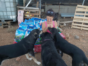 Aphrodite &amp; Loutraki&#039;s Landfill Dogs