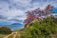 Treasures of the Saronic Gulf ~ A 3-Day Inspiring Excursion