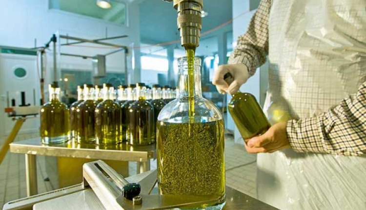 How An Expat In Crete Created A Website All About Olive Oil