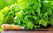 The Wonders Of Parsley