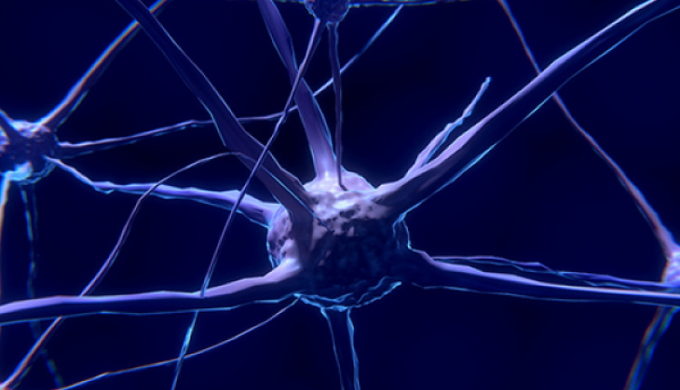 Greek-Australian Professor Discovers An Unmapped Area In The Human Brain