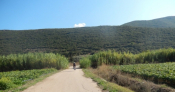 Wines & Ruins On Two Wheels