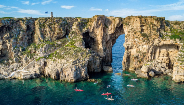 Registrations Open For Navarino Challenge 2024
