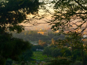 January 30 -  Tips, Updates & Fun!