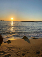 Personal Assistant / Social Media / E-Shops / Confidential Projects