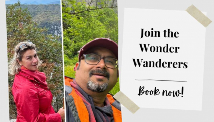 The Wonder Wanderers IV