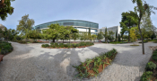 The First-Ever Japanese Garden In Athens