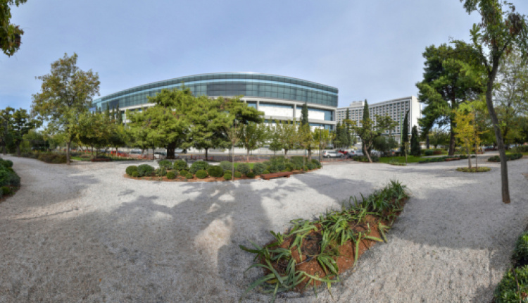 The First-Ever Japanese Garden In Athens