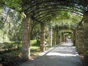 Cafes Amidst The Athenian Gardens