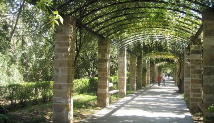 Cafes Amidst The Athenian Gardens