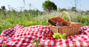 Picnic In Athens