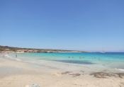Seas The Day