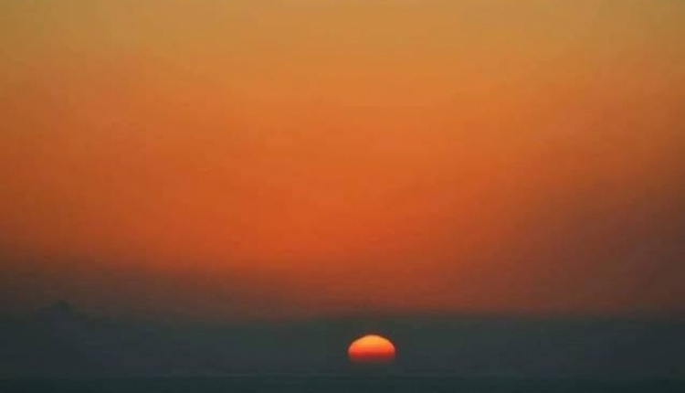 July 26 - Wildfires In Greece - How To Help