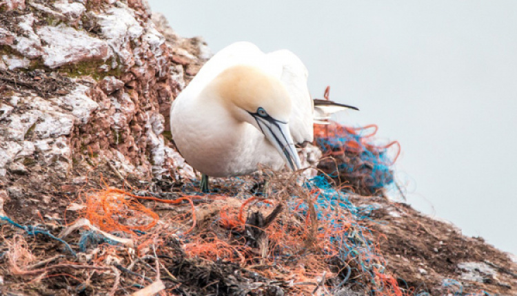 Greek Islands Make Ground-Breaking Efforts Towards Plastic-Free Seas