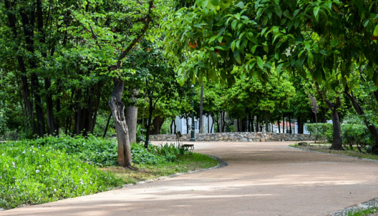 The National Garden Of Athens Regains Its Former Glory