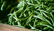 Fassolakia Lathera - Green Bean Casserole