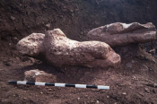 4 Ancient Greek Statues Unearthed Near The Town Of Atalanti