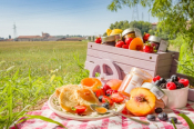 Spring In Athens: Great Picnic Spots for Nature Enthusiasts