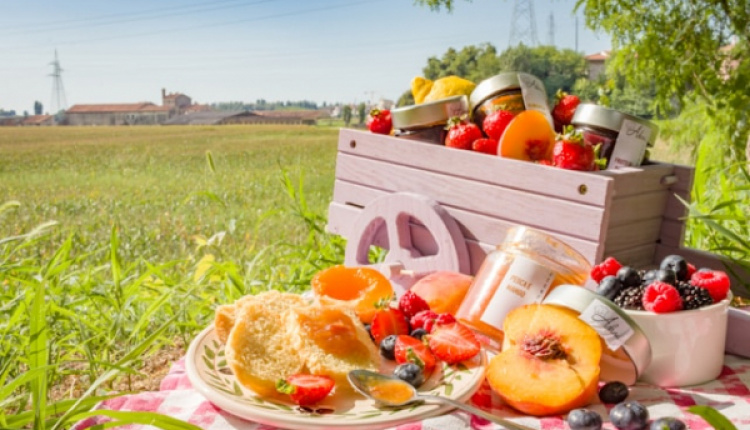 Spring In Athens: Great Picnic Spots for Nature Enthusiasts