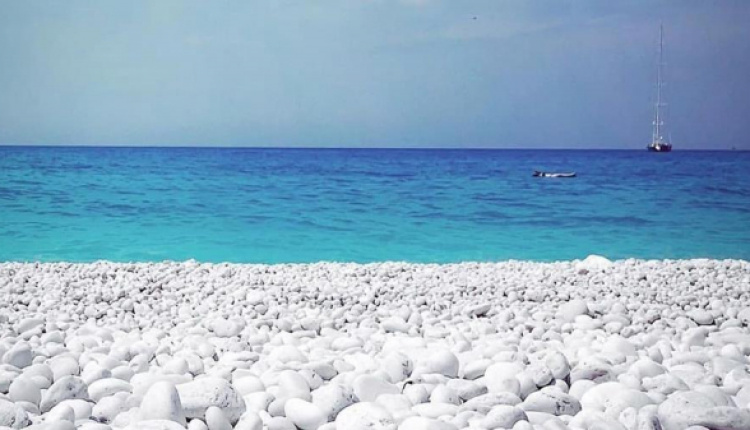 June 11 - Dive In & Refresh