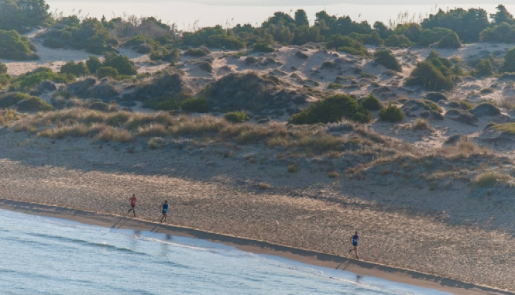 "Navarino Challenge" With Over 20 Activities
