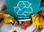 Recycling Do's And Don'ts