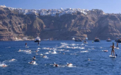 Santorini Experience - A Global Tradition On Beautiful Santorini