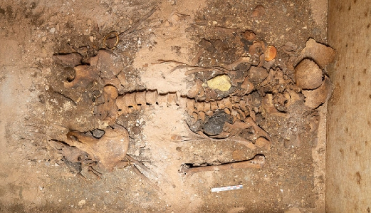 Ancient Noble Woman And Her Jewelry Found At Sikinos Site